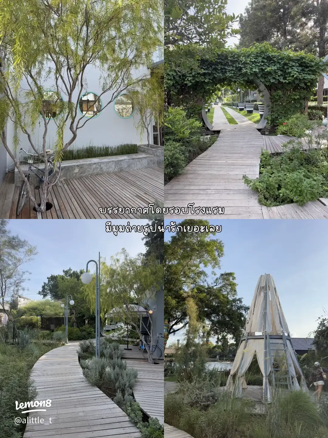 Garden corners photographed during a pet-friendly stay