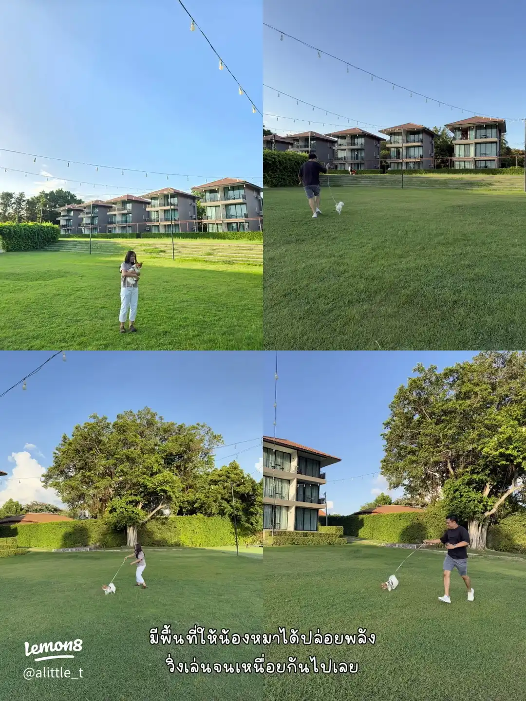 A guest walking with their dog on the hotel lawn
